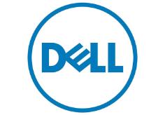 Dell Logo for software/hardware services tab