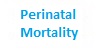 Rollover 3 Perinatal Morality