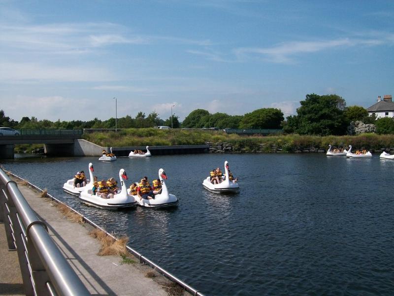 Some swans on a boating lake