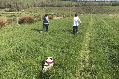 Student's children running in field with dog