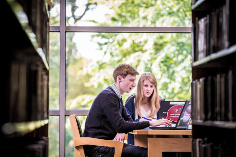 Students studying in the McClay