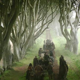 Game of Thrones - Dark Hedges Scene