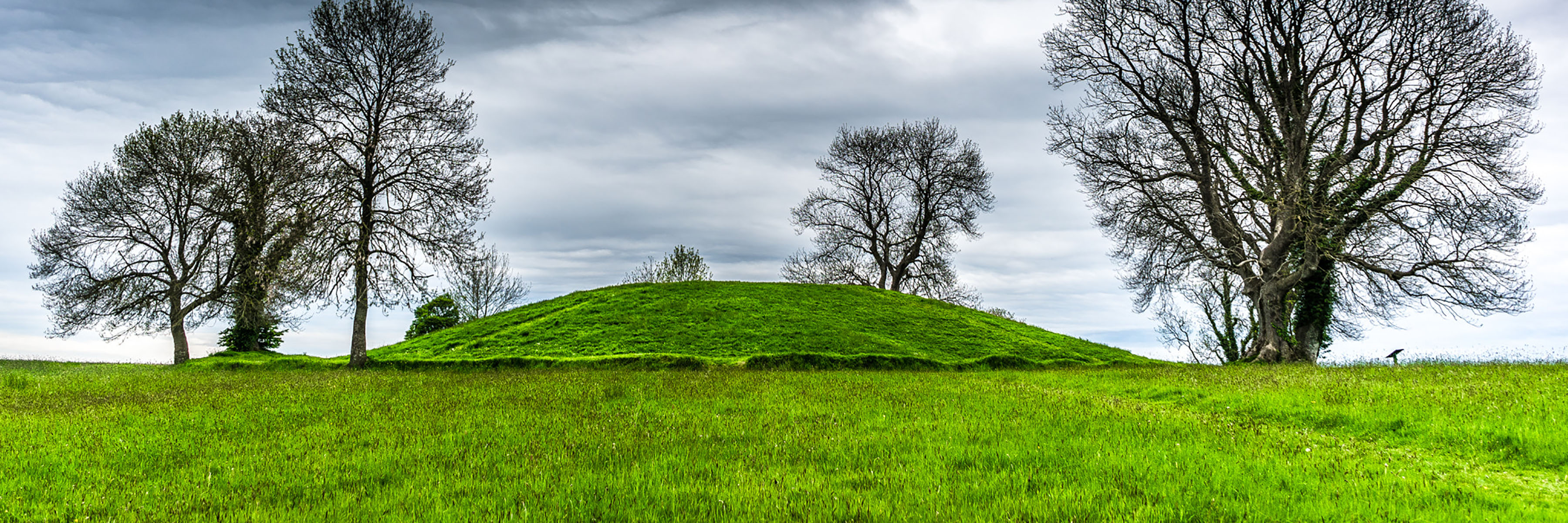 Queen’s University research unveils early Kings of Ulster and Iron Age ...