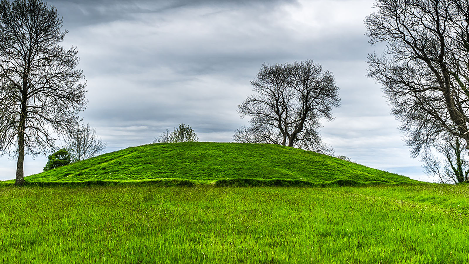 Queen’s University research unveils early Kings of Ulster and Iron Age ...