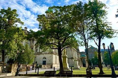 Trees in front of Belfast city hall