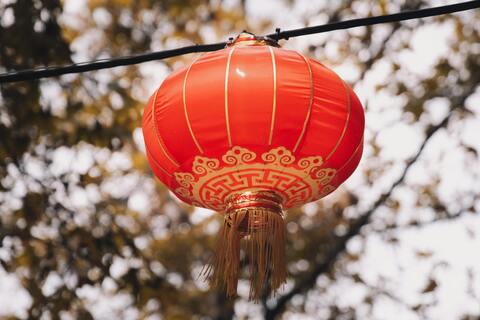 Chinese lantern