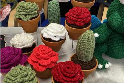 Collection of crocheted cacti