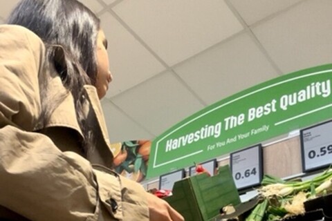 Student Isa doing grocery shopping in Lidl