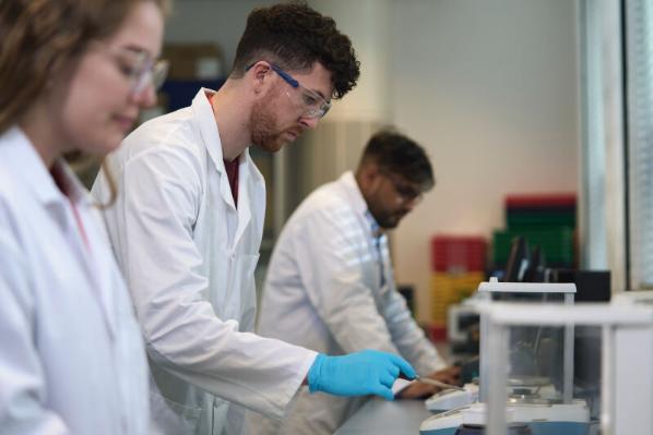 Group carrying out lab work