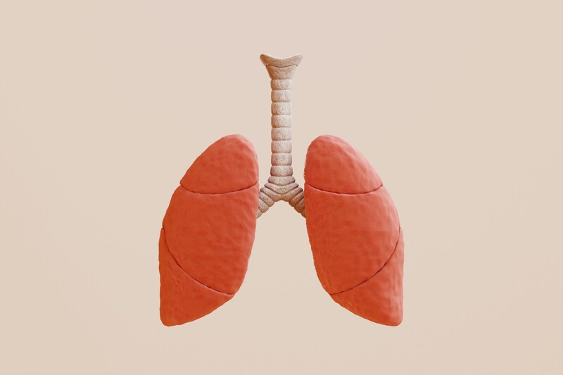 Drawing of lungs