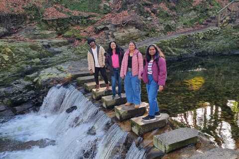 Madhurya and friends at Tollymore forest park