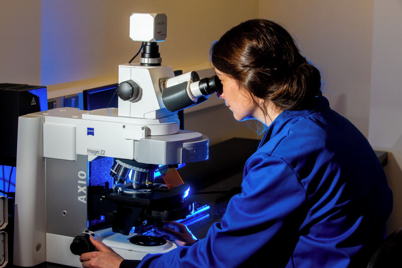 PMC staff using fluorescent microscope