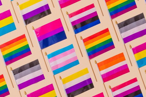 Various pride and gender identity flags