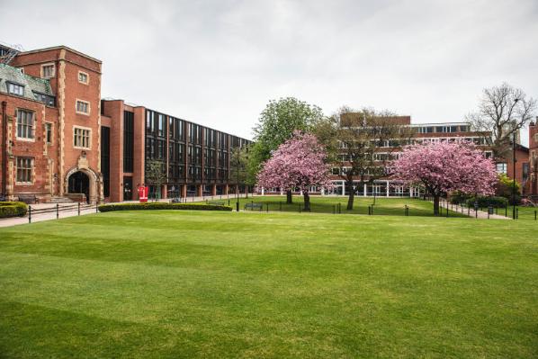 Lanyon Quad with cherry blossoms