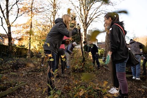 QUB Community Gardening