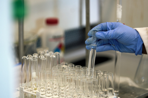 Researcher's hand holds test tube in lab