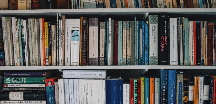 Books on several shelves