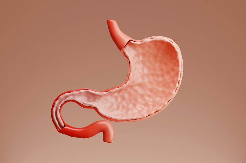 Graphic of a stomach in the air