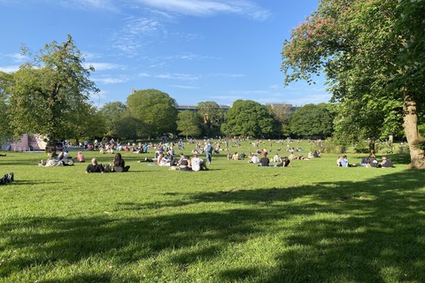 Botanic Gardens in the summer