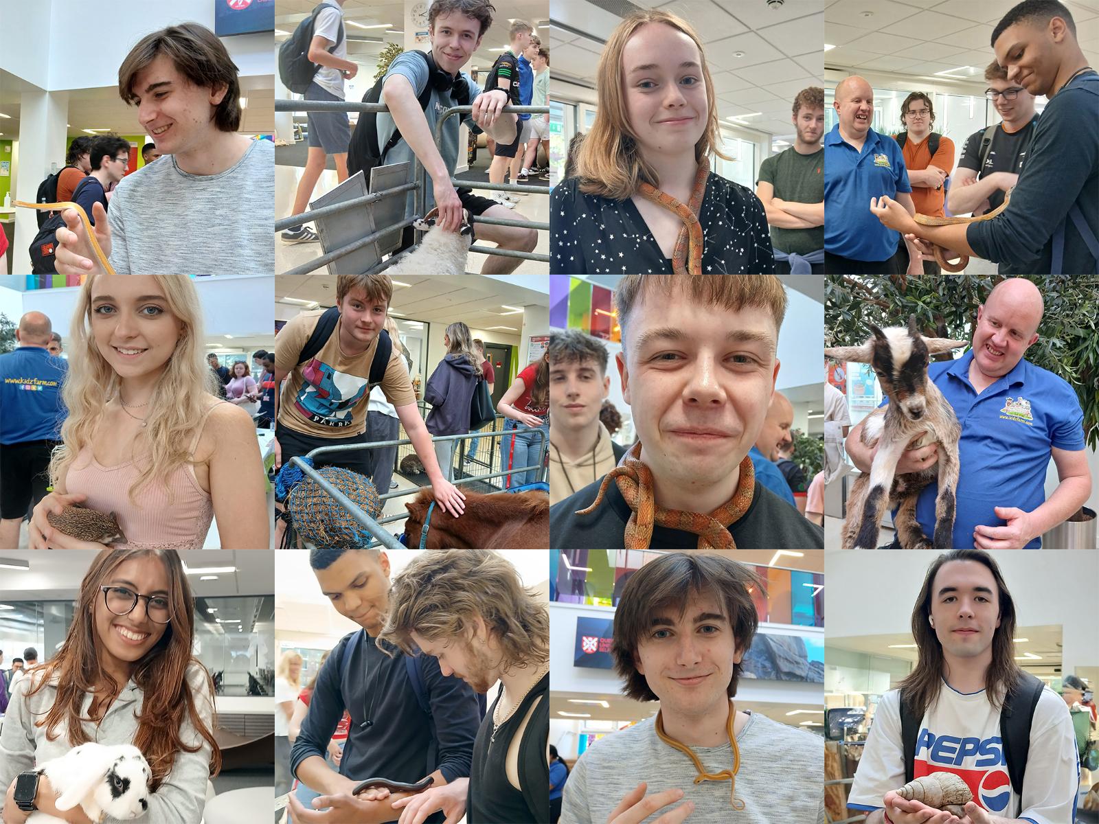 A collage of students at the Kidz Farm petting zoo during EEECS undergrad induction 2024