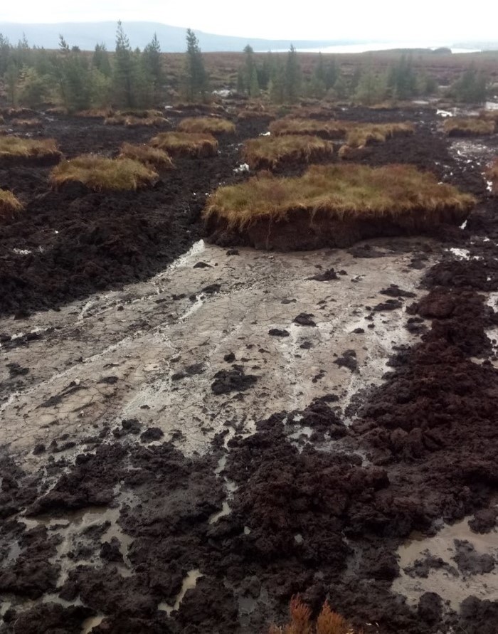 Damage to blanket bog at Shass Mountain, Co. Leitrim, June 2020