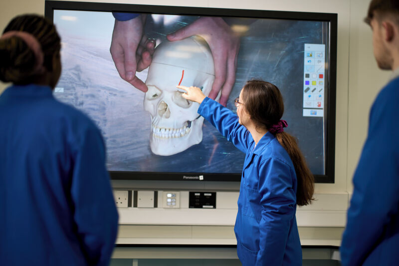 Anatomy and Histology students working in a lab