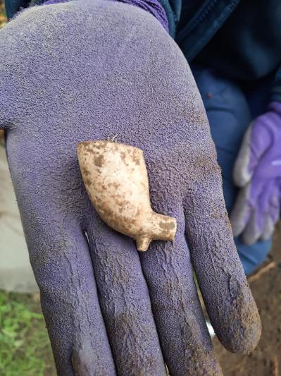 Hand holding a clay pipe bowl